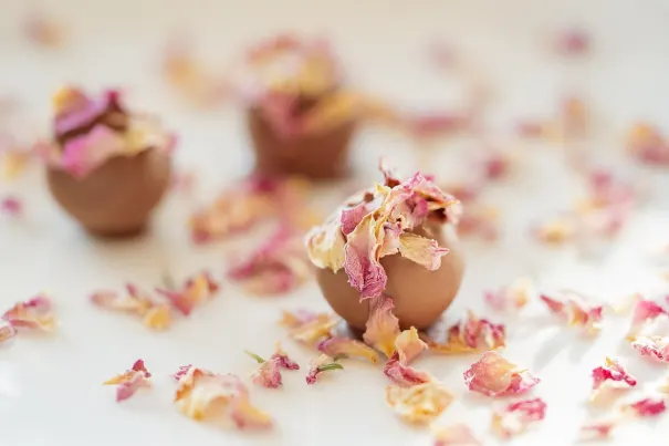 Andromeda Kasino Android/iOS Aplikácia